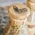 Viel Glück in euren neuen 4 Wänden - BOTTLEBREAD Brotbackmischung im Glas-Lebenshilfe Nürnberg-werky