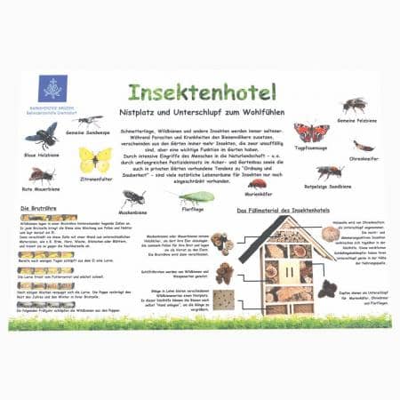 Lehrtafel Insektenhotel-Barmherzige Brüder-werky