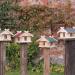 Vogelhaus mit Mini-Dachschindeln Bausatz (groß), Biberschwanz - Grau--werky