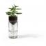 Self Watering Bottle - Glas klar-side by side-werky