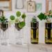 Self Watering Bottle - Glas klar-side by side-werky