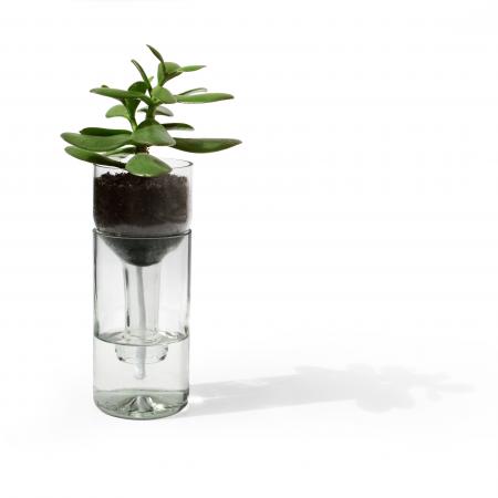 Self Watering Bottle - Glas klar-side by side-werky