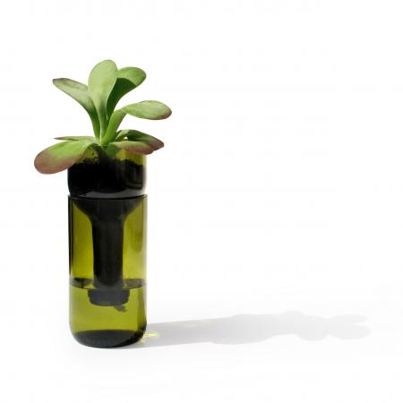 Self Watering Bottle - Glas grün-side by side-werky