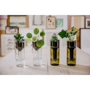 Self Watering Bottle - Glas klar-side by side-werky