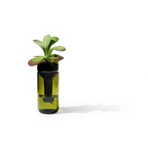 Self Watering Bottle - Glas grün-side by side-werky