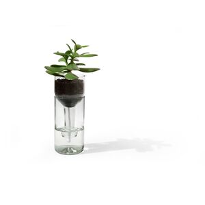 Self Watering Bottle - Glas klar-side by side-werky