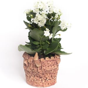 Übertopf "Oskartopf" (15.00 cm- 25.00 cm) gerade Form--werky