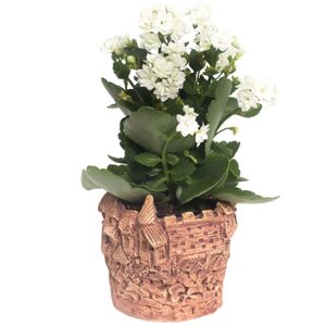 Übertopf "Oskartopf" (46.00 cm- 55.00 cm) gerade Form--werky