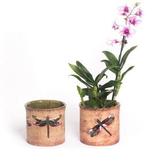 Übertopf bemalt Libelle-Manufaktur Martinshof-werky