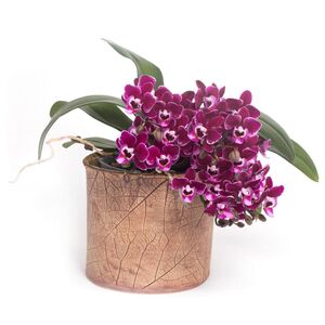 Übertopf floral Trompetenbaum-Manufaktur Martinshof-werky