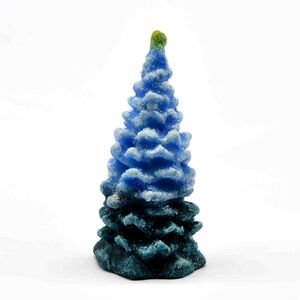 Schwarzwaldtanne Winter--werky