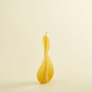 Engelskerze klein gelb--werky