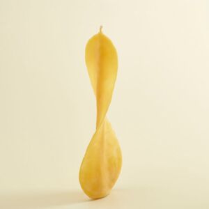Engelskerze groß gelb--werky